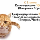 Ветеринарная клиника Доктор Котов Фото 2 на проекте VetSpravka.ru
