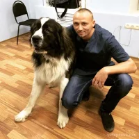 Ветеринарная клиника Добрый доктор на проекте Tver.vetspravka.ru Ветеринарная клиника Добрый доктор на проекте Tver.vetspravka.ru